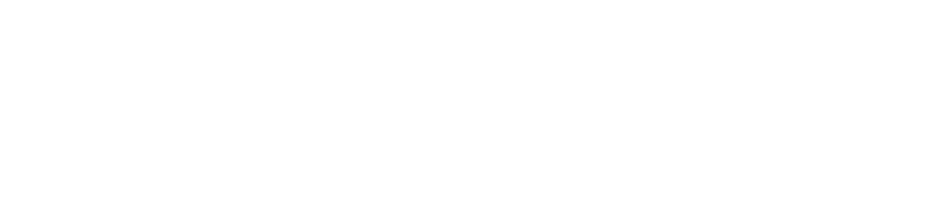 Academy of Public Administration under the President of the Republic of Kazakhstan